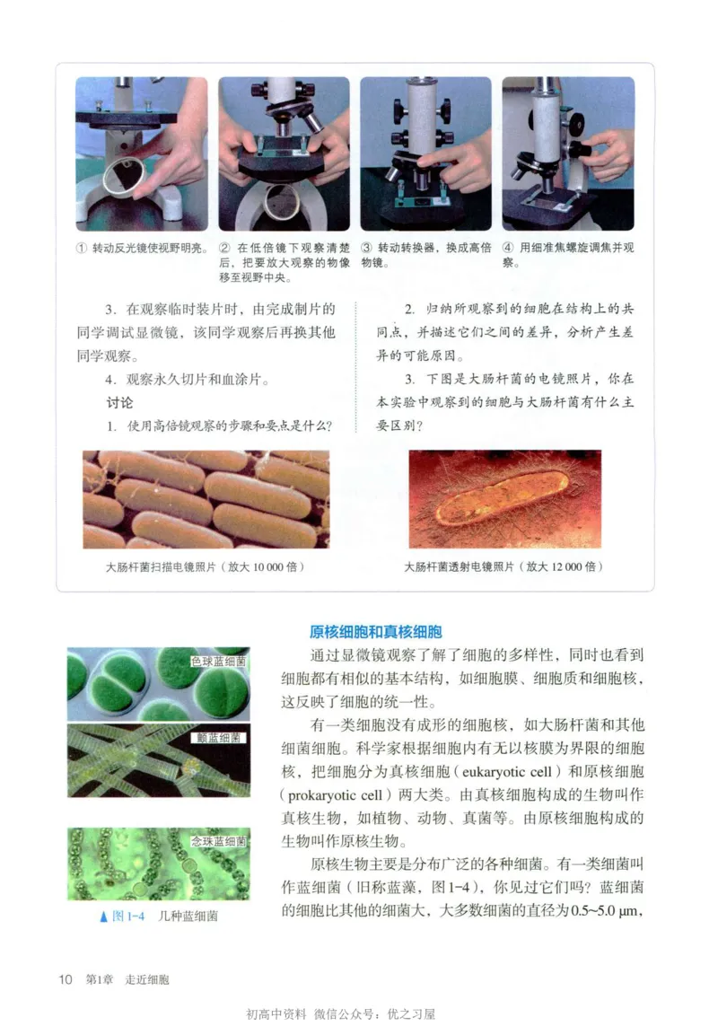1新人教版高中生物必修1《分子与细胞》_高中三年全科资料_高中各科课本电子教材_06高中生物课本_人教版-生物课本