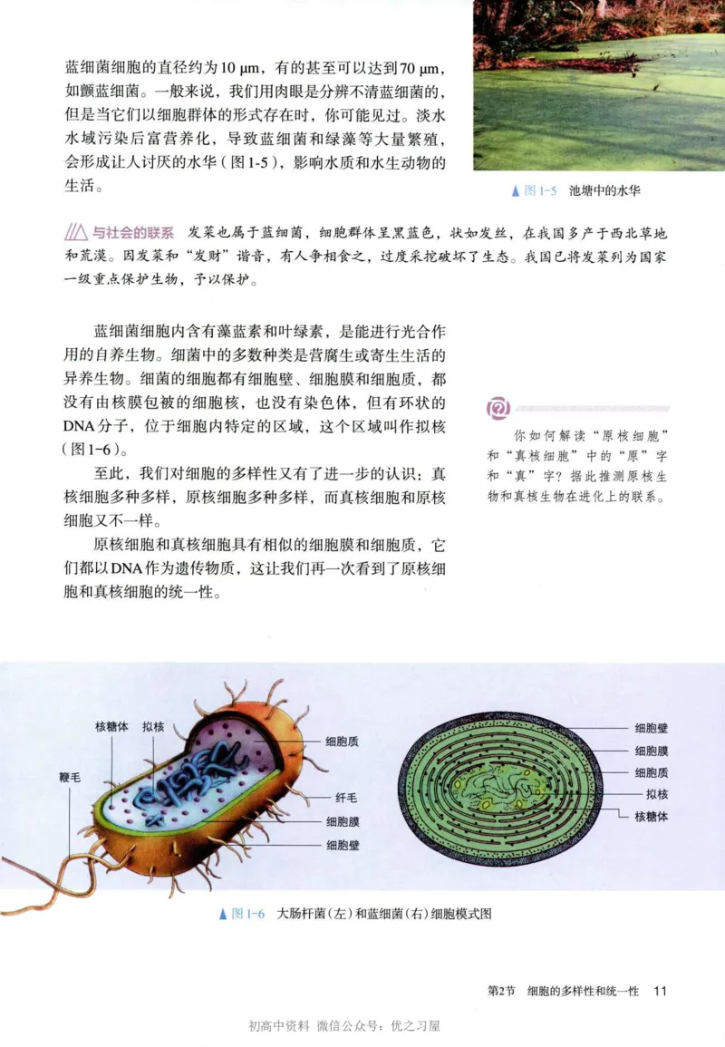 1新人教版高中生物必修1《分子与细胞》_高中三年全科资料_高中各科课本电子教材_06高中生物课本_人教版-生物课本