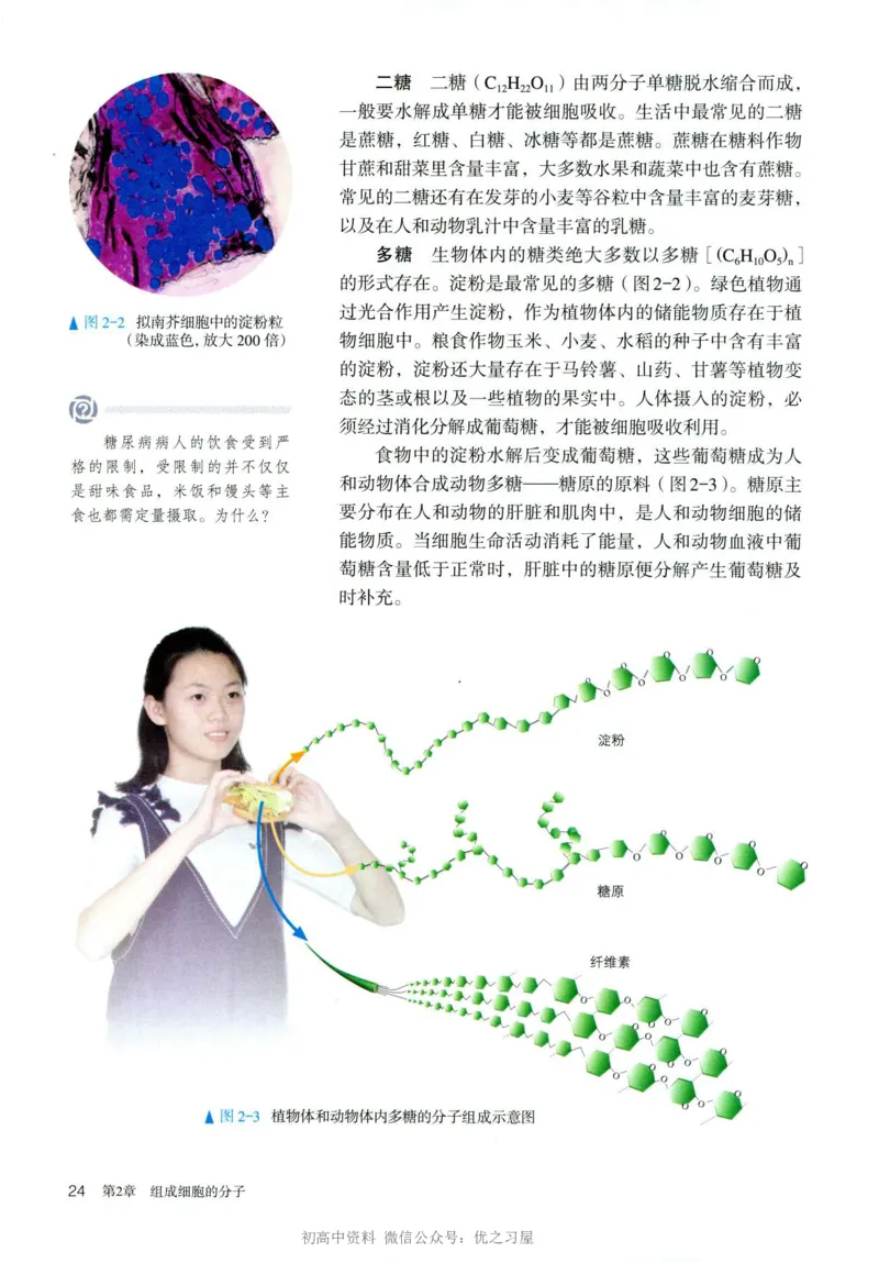 1新人教版高中生物必修1《分子与细胞》_高中三年全科资料_高中各科课本电子教材_06高中生物课本_人教版-生物课本