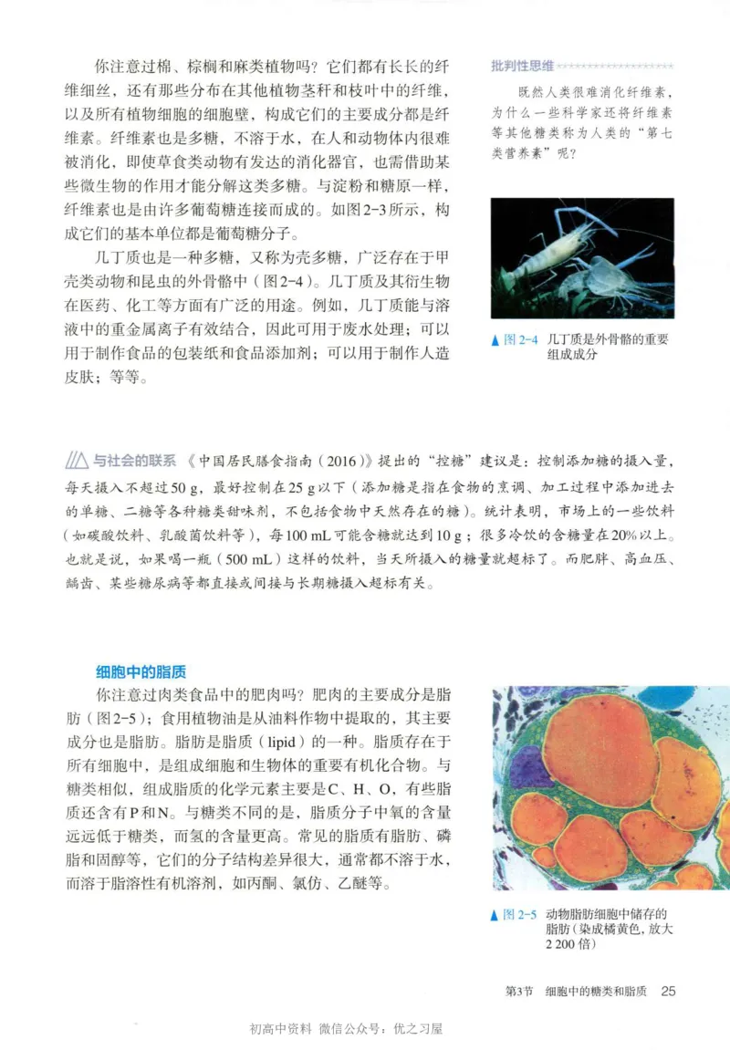 1新人教版高中生物必修1《分子与细胞》_高中三年全科资料_高中各科课本电子教材_06高中生物课本_人教版-生物课本