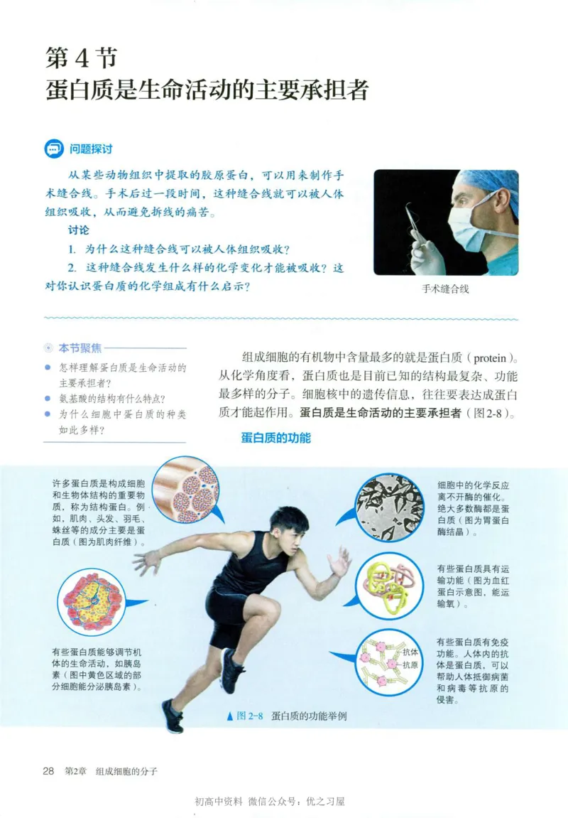 1新人教版高中生物必修1《分子与细胞》_高中三年全科资料_高中各科课本电子教材_06高中生物课本_人教版-生物课本