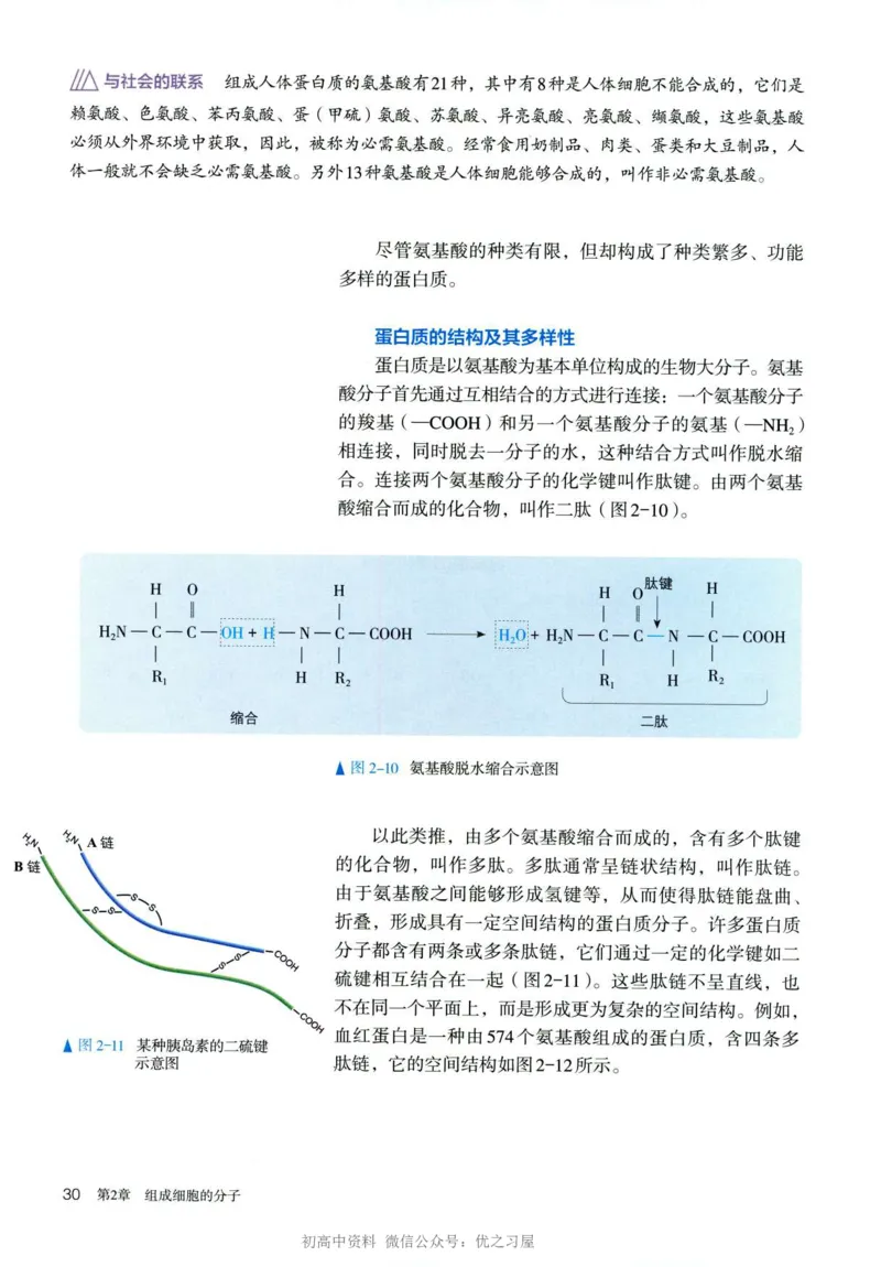 1新人教版高中生物必修1《分子与细胞》_高中三年全科资料_高中各科课本电子教材_06高中生物课本_人教版-生物课本