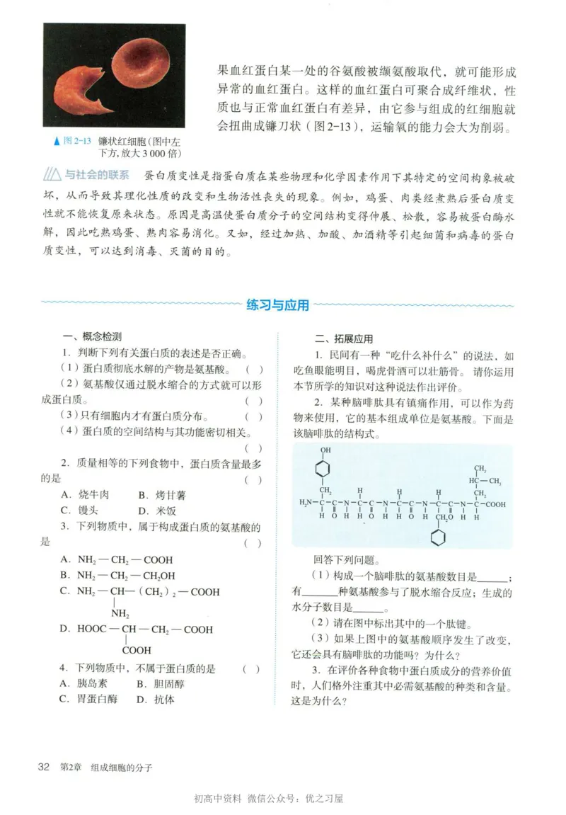 1新人教版高中生物必修1《分子与细胞》_高中三年全科资料_高中各科课本电子教材_06高中生物课本_人教版-生物课本