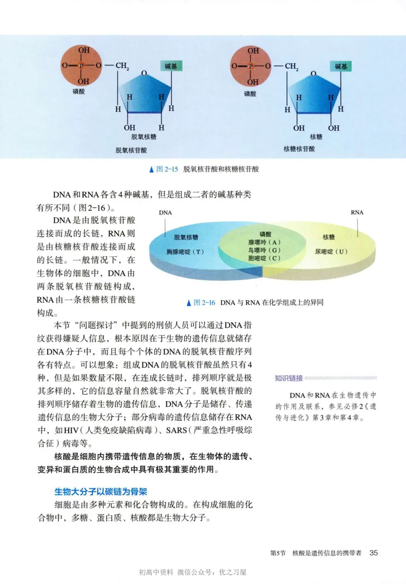 1新人教版高中生物必修1《分子与细胞》_高中三年全科资料_高中各科课本电子教材_06高中生物课本_人教版-生物课本
