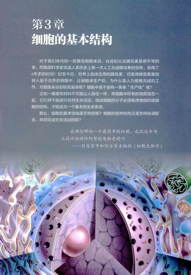 1新人教版高中生物必修1《分子与细胞》_高中三年全科资料_高中各科课本电子教材_06高中生物课本_人教版-生物课本