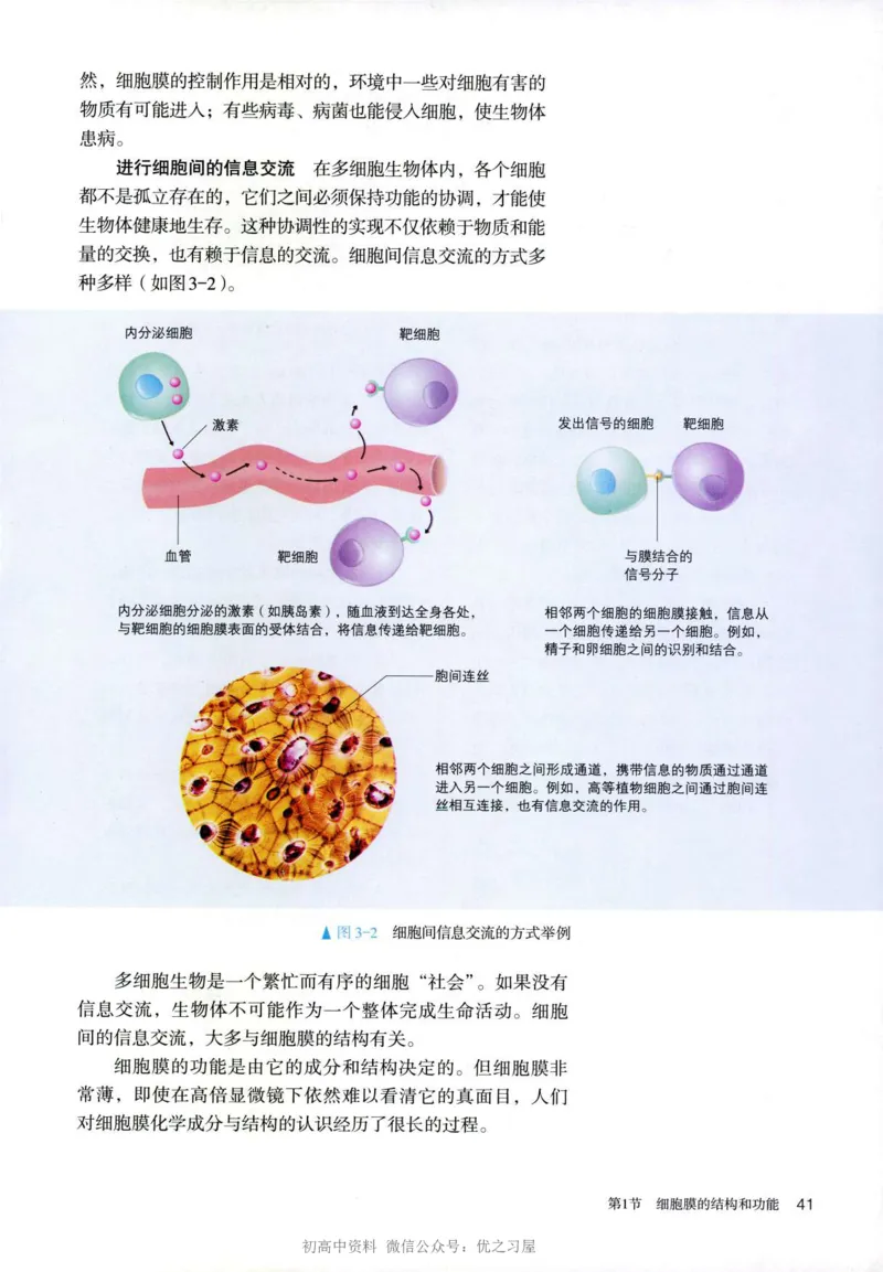 1新人教版高中生物必修1《分子与细胞》_高中三年全科资料_高中各科课本电子教材_06高中生物课本_人教版-生物课本