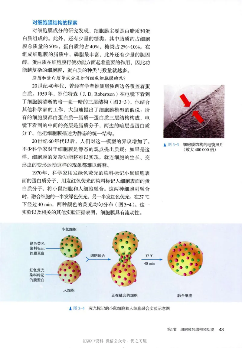 1新人教版高中生物必修1《分子与细胞》_高中三年全科资料_高中各科课本电子教材_06高中生物课本_人教版-生物课本