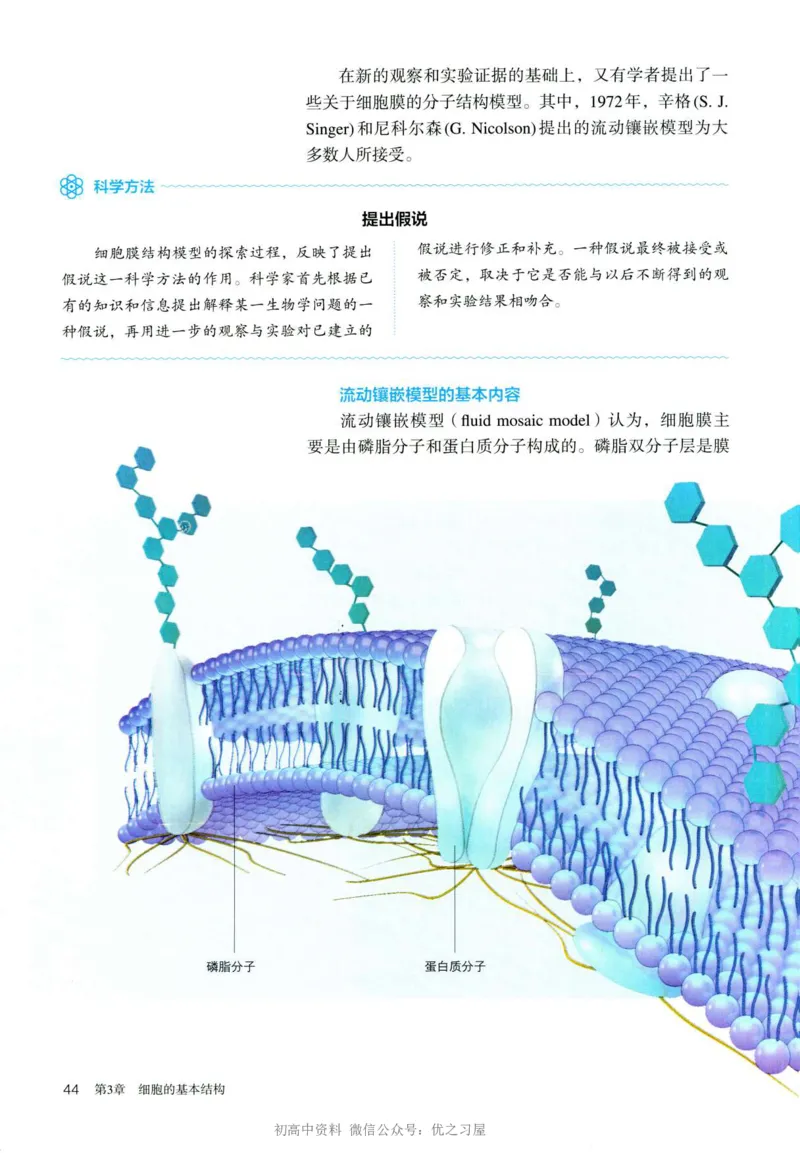 1新人教版高中生物必修1《分子与细胞》_高中三年全科资料_高中各科课本电子教材_06高中生物课本_人教版-生物课本