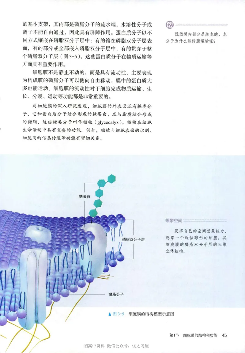 1新人教版高中生物必修1《分子与细胞》_高中三年全科资料_高中各科课本电子教材_06高中生物课本_人教版-生物课本