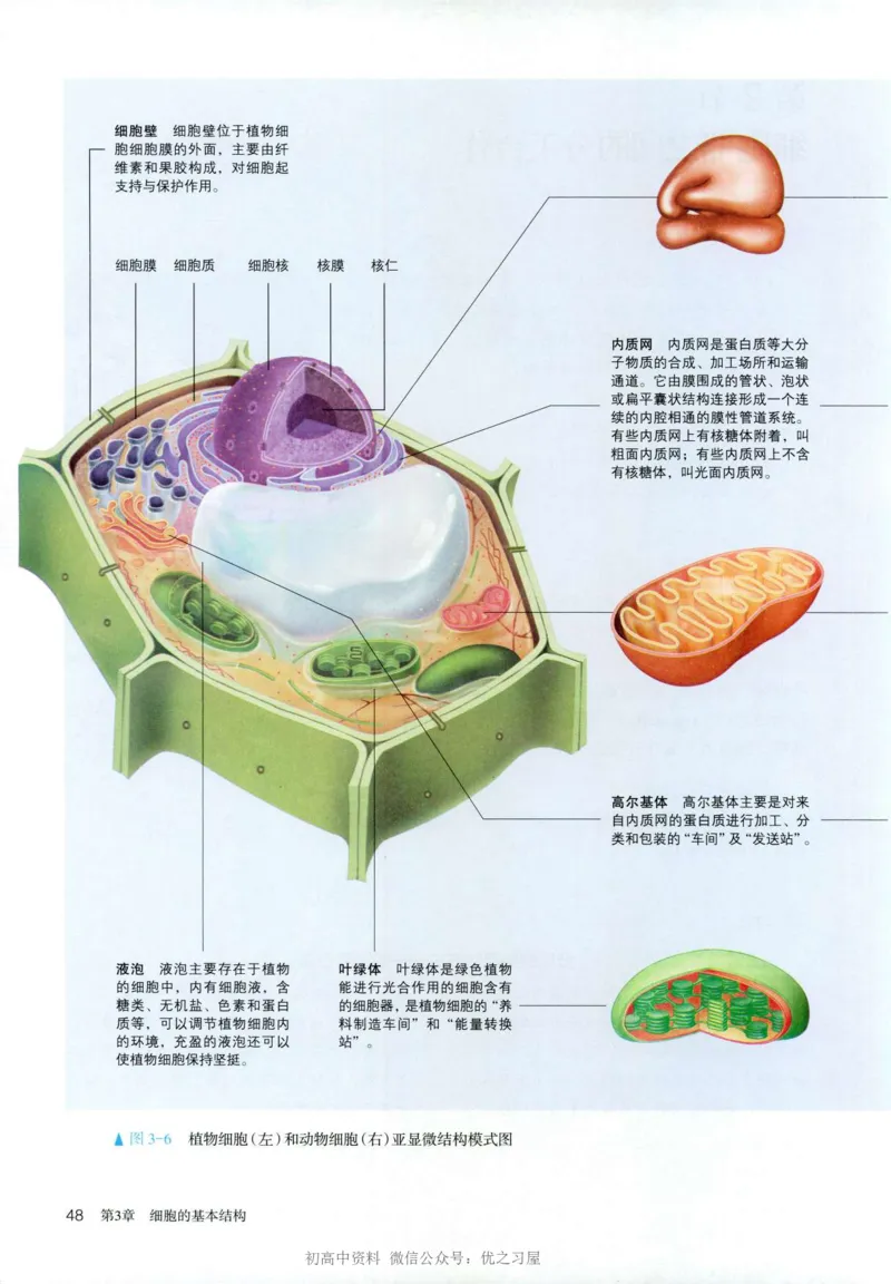 1新人教版高中生物必修1《分子与细胞》_高中三年全科资料_高中各科课本电子教材_06高中生物课本_人教版-生物课本