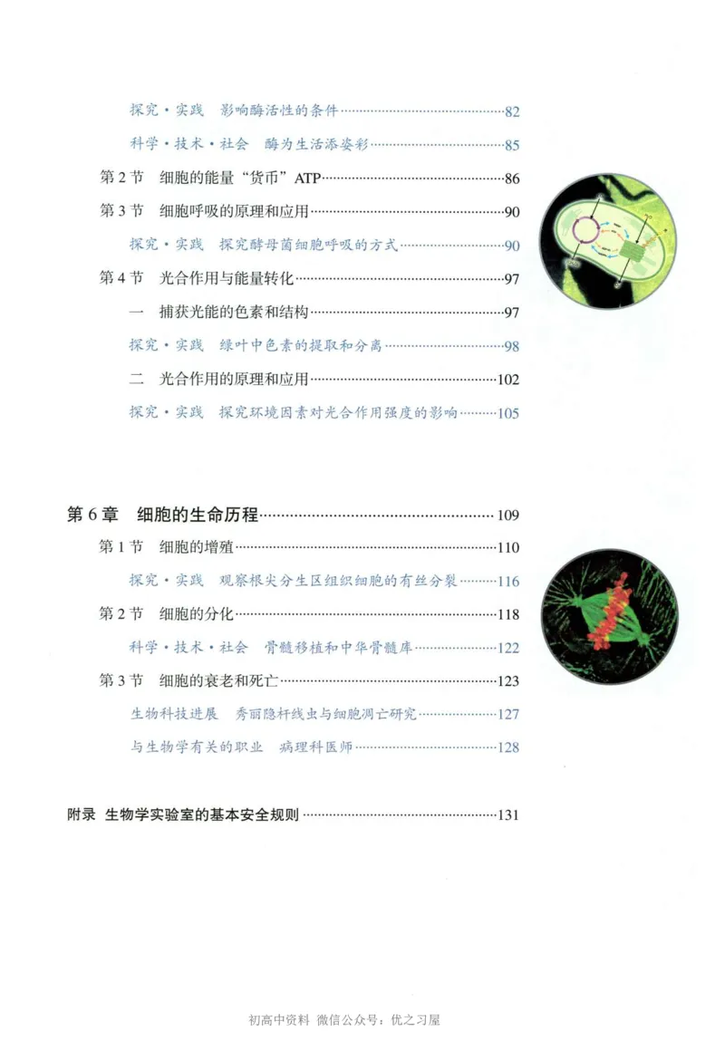 1新人教版高中生物必修1《分子与细胞》_高中三年全科资料_高中各科课本电子教材_06高中生物课本_人教版-生物课本
