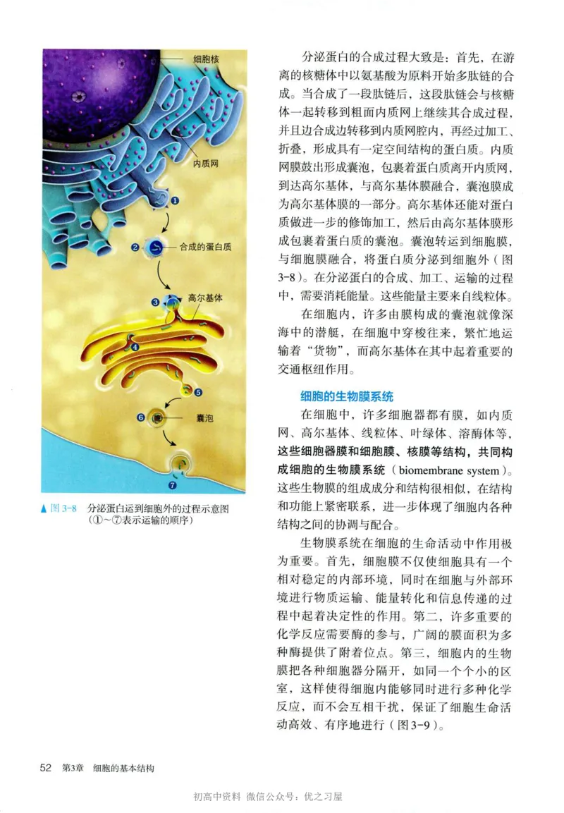 1新人教版高中生物必修1《分子与细胞》_高中三年全科资料_高中各科课本电子教材_06高中生物课本_人教版-生物课本