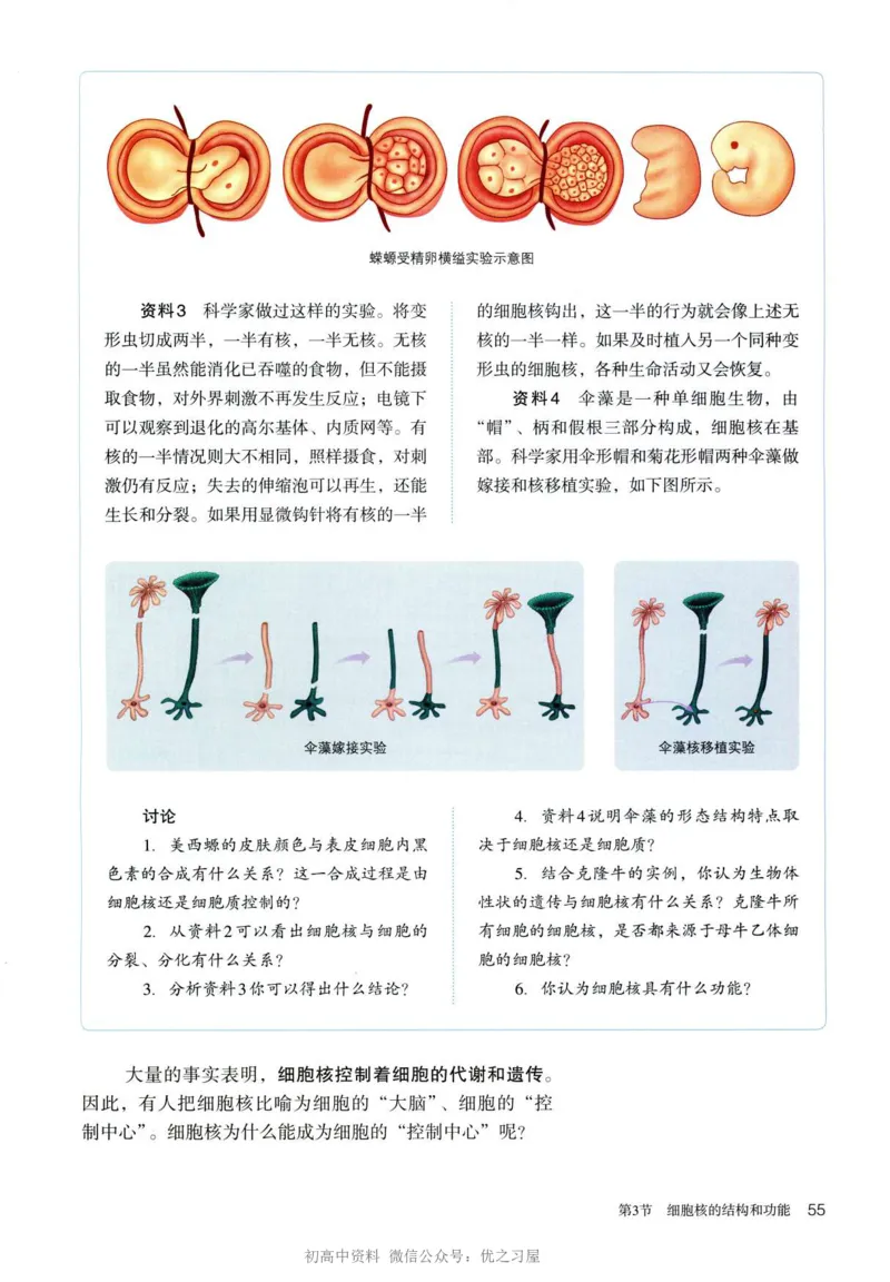 1新人教版高中生物必修1《分子与细胞》_高中三年全科资料_高中各科课本电子教材_06高中生物课本_人教版-生物课本