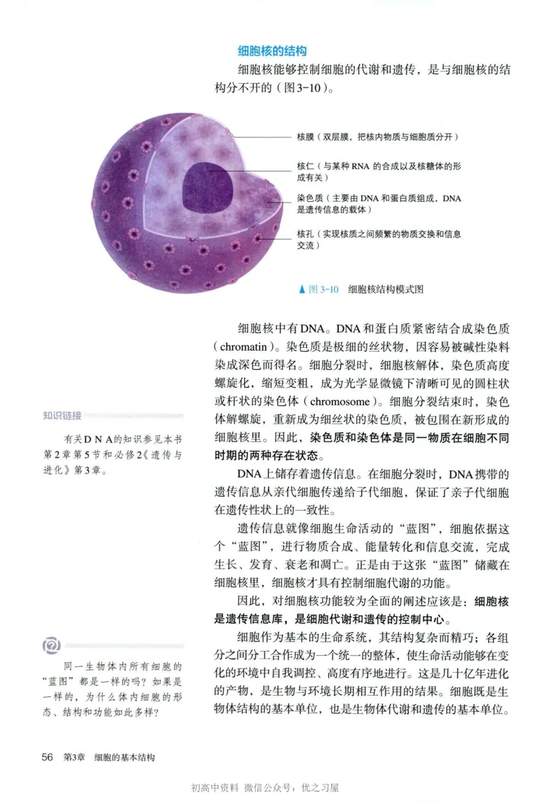 1新人教版高中生物必修1《分子与细胞》_高中三年全科资料_高中各科课本电子教材_06高中生物课本_人教版-生物课本