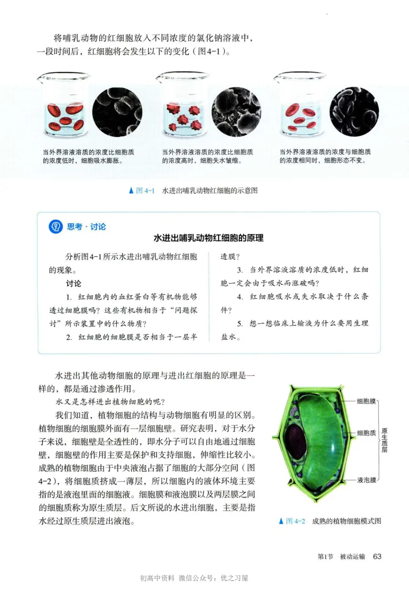 1新人教版高中生物必修1《分子与细胞》_高中三年全科资料_高中各科课本电子教材_06高中生物课本_人教版-生物课本