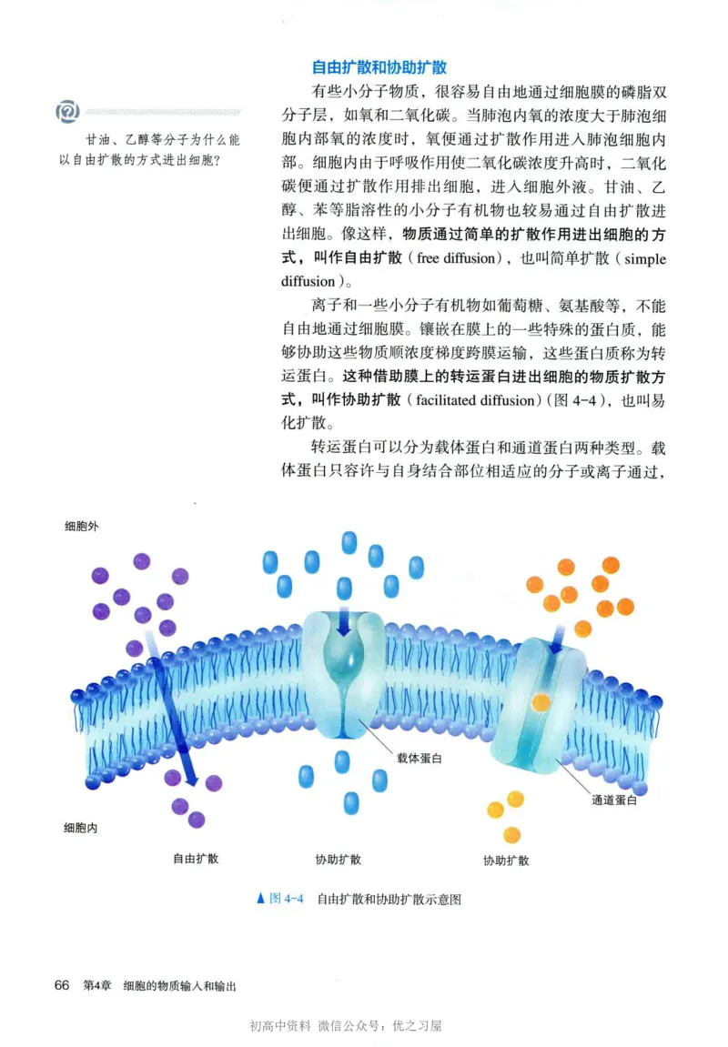 1新人教版高中生物必修1《分子与细胞》_高中三年全科资料_高中各科课本电子教材_06高中生物课本_人教版-生物课本