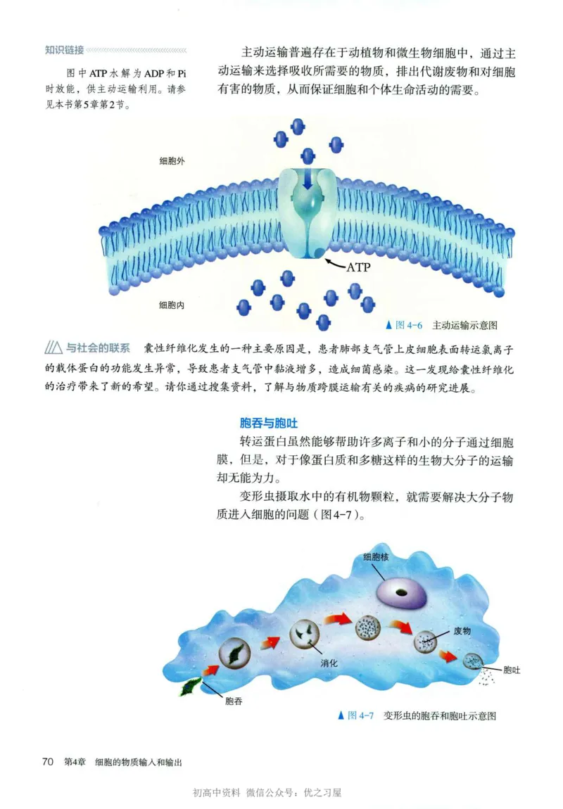 1新人教版高中生物必修1《分子与细胞》_高中三年全科资料_高中各科课本电子教材_06高中生物课本_人教版-生物课本