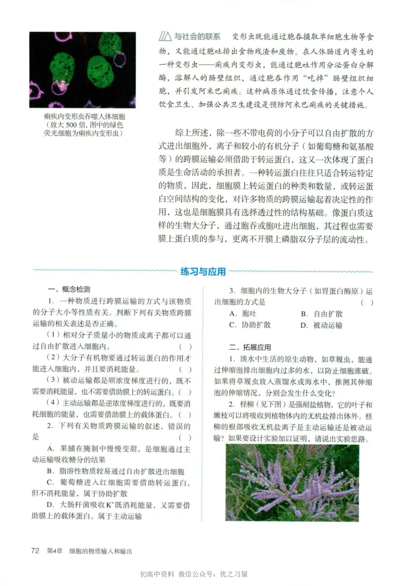 1新人教版高中生物必修1《分子与细胞》_高中三年全科资料_高中各科课本电子教材_06高中生物课本_人教版-生物课本
