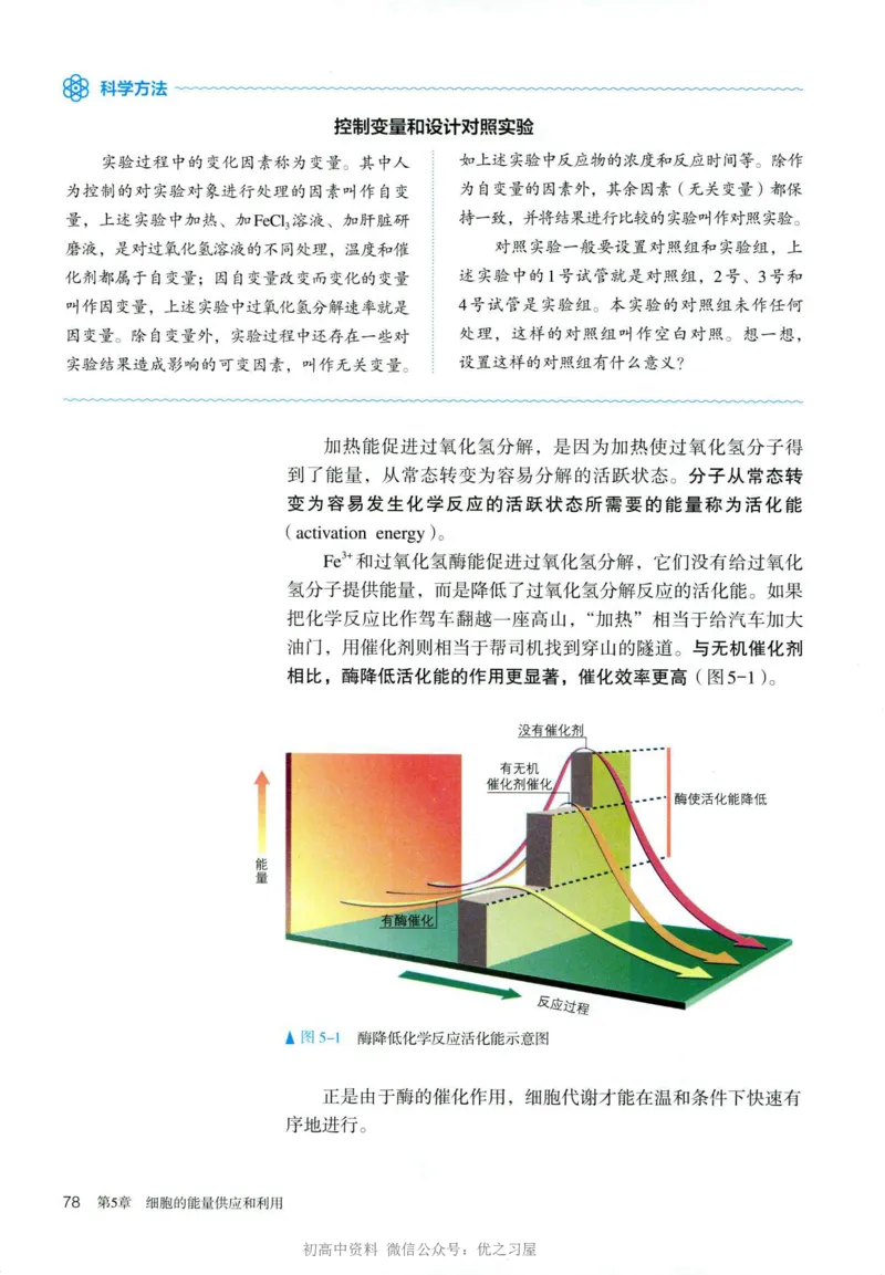 1新人教版高中生物必修1《分子与细胞》_高中三年全科资料_高中各科课本电子教材_06高中生物课本_人教版-生物课本
