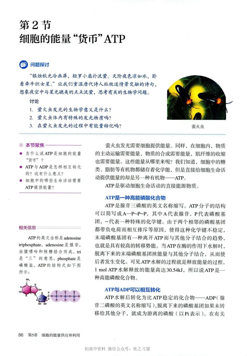 1新人教版高中生物必修1《分子与细胞》_高中三年全科资料_高中各科课本电子教材_06高中生物课本_人教版-生物课本