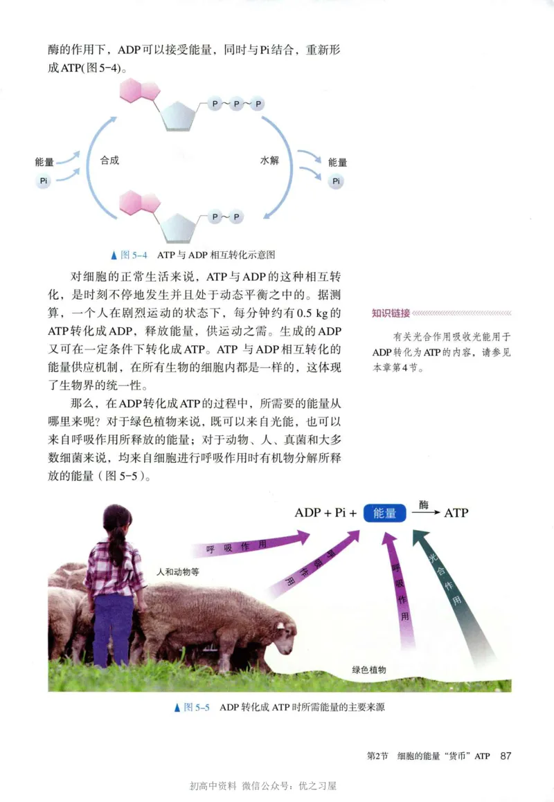 1新人教版高中生物必修1《分子与细胞》_高中三年全科资料_高中各科课本电子教材_06高中生物课本_人教版-生物课本