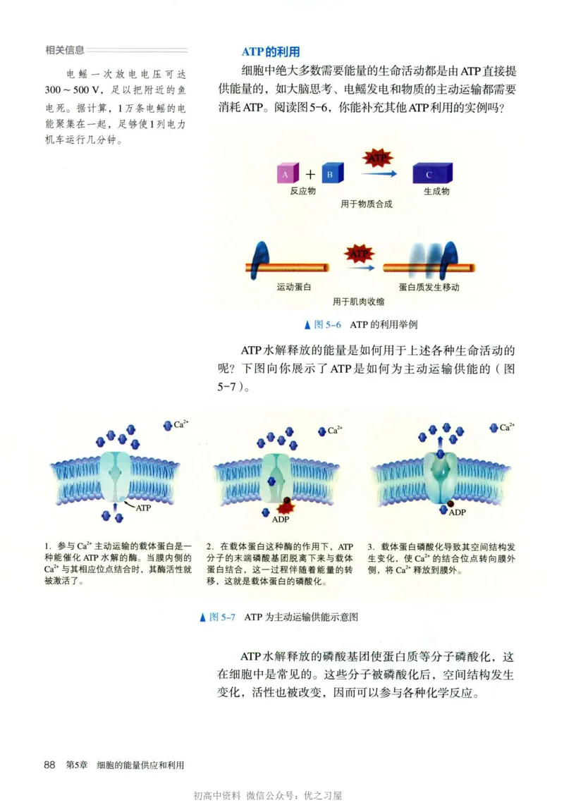 1新人教版高中生物必修1《分子与细胞》_高中三年全科资料_高中各科课本电子教材_06高中生物课本_人教版-生物课本