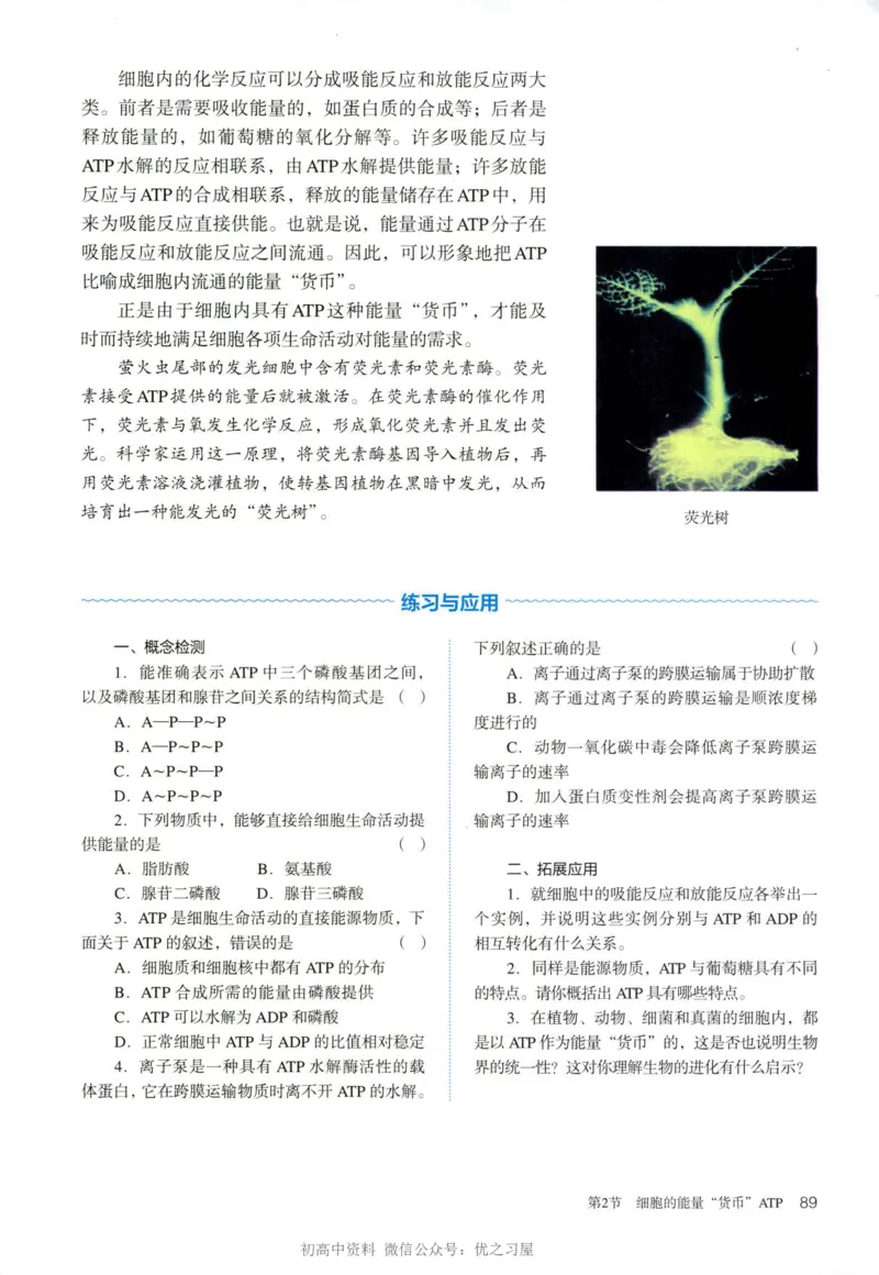1新人教版高中生物必修1《分子与细胞》_高中三年全科资料_高中各科课本电子教材_06高中生物课本_人教版-生物课本