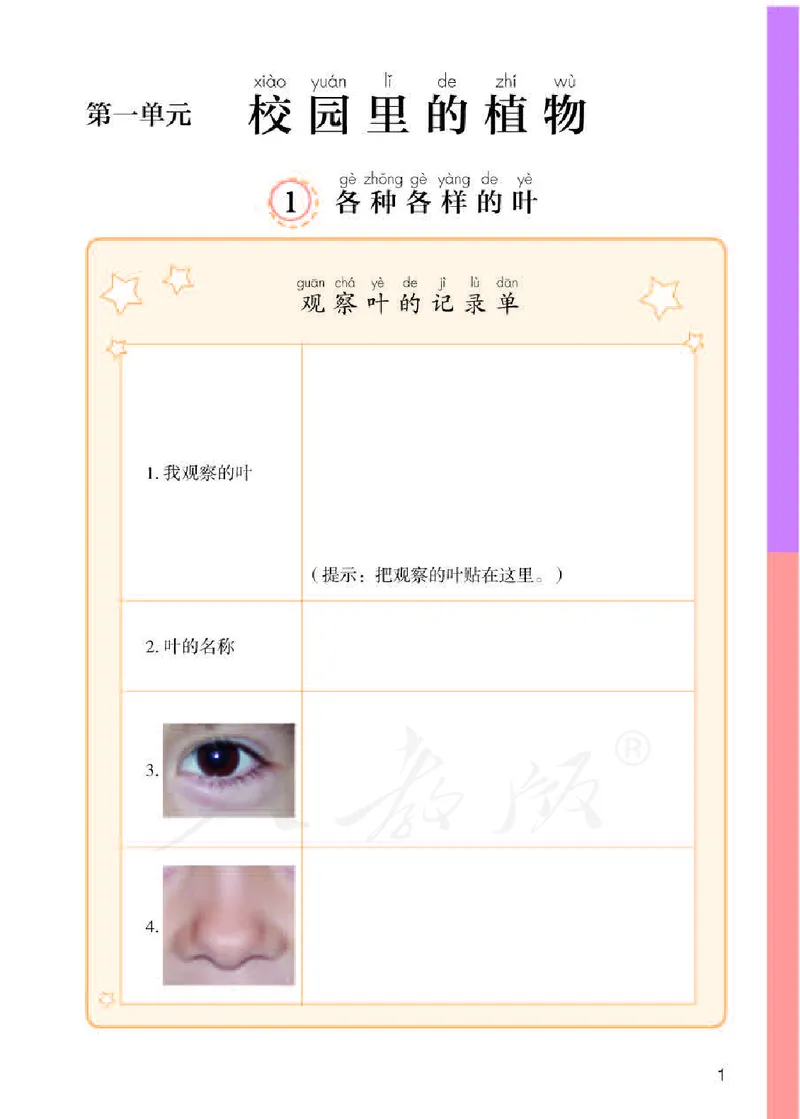 人教版科学一年级活动手册下册_电子课本_小学电子课本_05科学_人教版_人教版科学1-3年级下册课本、活动手册及教师用书