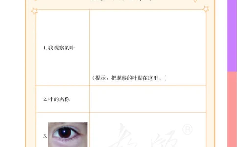 人教版科学一年级活动手册下册_电子课本_小学电子课本_05科学_人教版_人教版科学1-3年级下册课本、活动手册及教师用书
