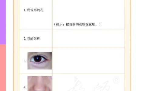 人教版科学一年级活动手册下册_电子课本_小学电子课本_05科学_人教版_人教版科学1-3年级下册课本、活动手册及教师用书
