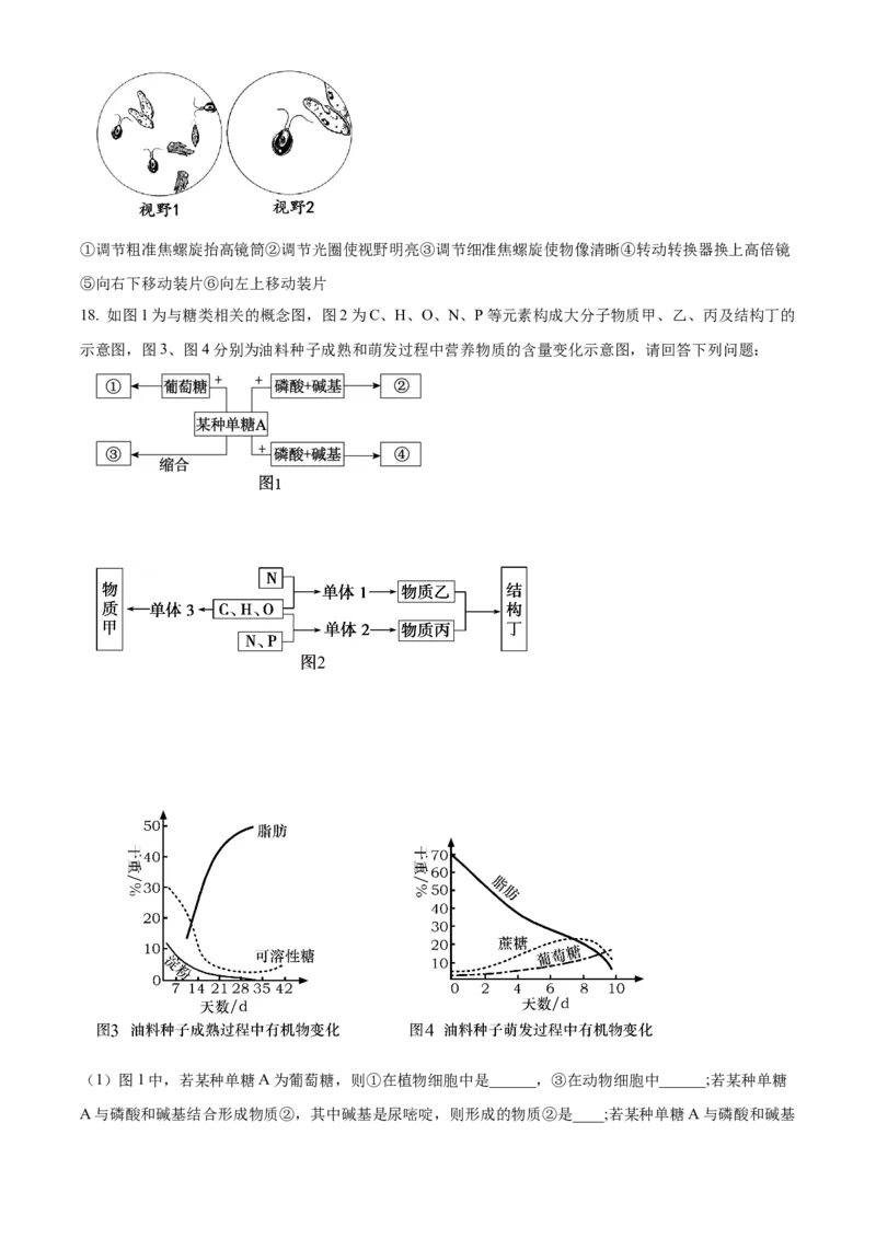 江西省抚州市2024-2025学年高一上学期期末考试生物试卷Word版无答案_2025年03月试卷_0323江西省抚州市2024-2025学年高一上学期期末考试