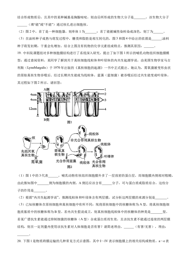 江西省抚州市2024-2025学年高一上学期期末考试生物试卷Word版无答案_2025年03月试卷_0323江西省抚州市2024-2025学年高一上学期期末考试