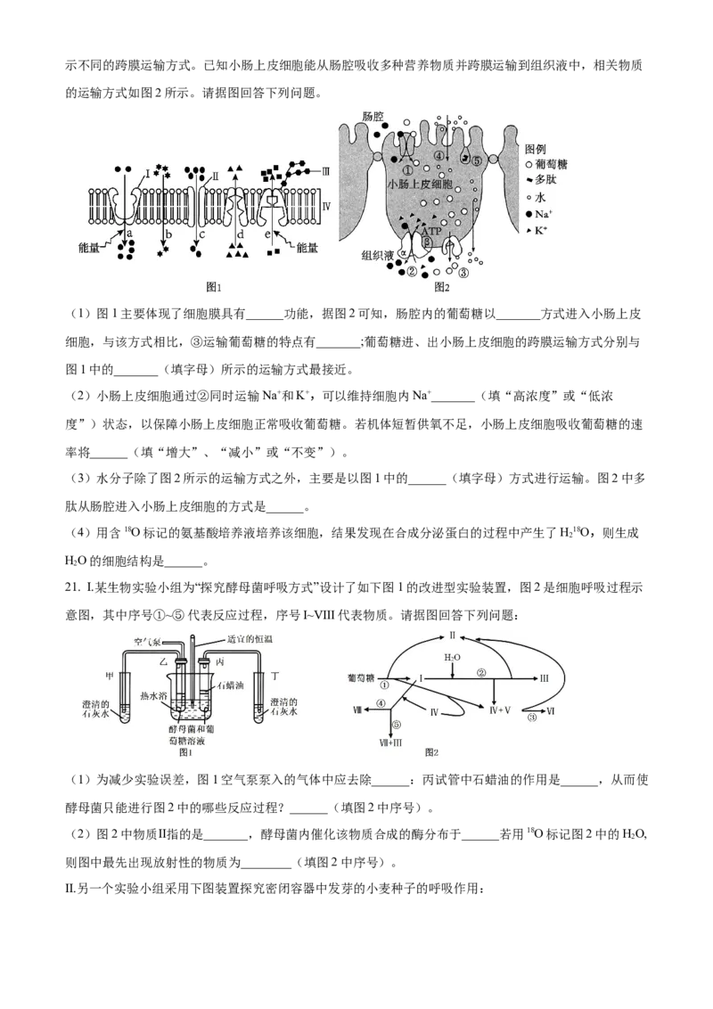 江西省抚州市2024-2025学年高一上学期期末考试生物试卷Word版无答案_2025年03月试卷_0323江西省抚州市2024-2025学年高一上学期期末考试
