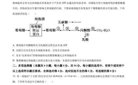 江西省抚州市2024-2025学年高一上学期期末考试生物试卷Word版无答案_2025年03月试卷_0323江西省抚州市2024-2025学年高一上学期期末考试