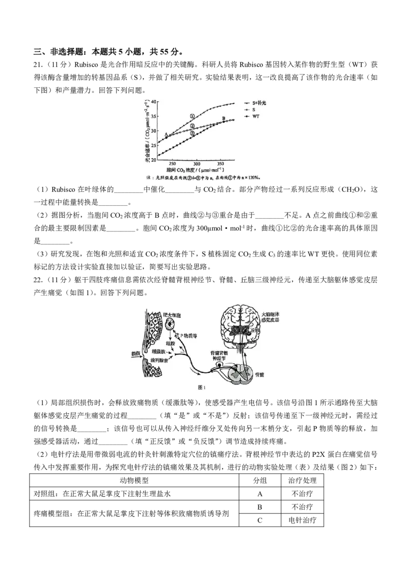 2025年黑吉辽内高考真题生物试卷_高中三年全科资料_高中_2025年全国高考真题及答案_按学科2025年高考真题汇总持续更新_生物_黑吉辽蒙