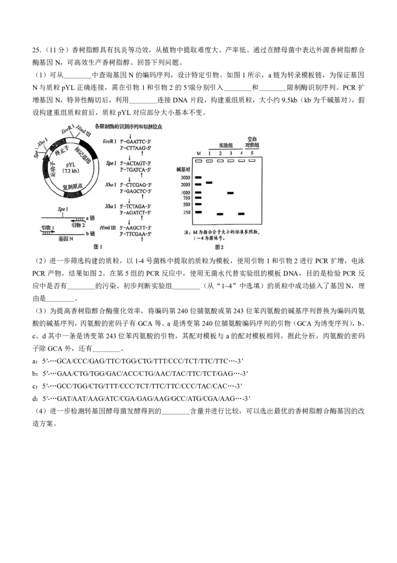 2025年黑吉辽内高考真题生物试卷_高中三年全科资料_高中_2025年全国高考真题及答案_按学科2025年高考真题汇总持续更新_生物_黑吉辽蒙