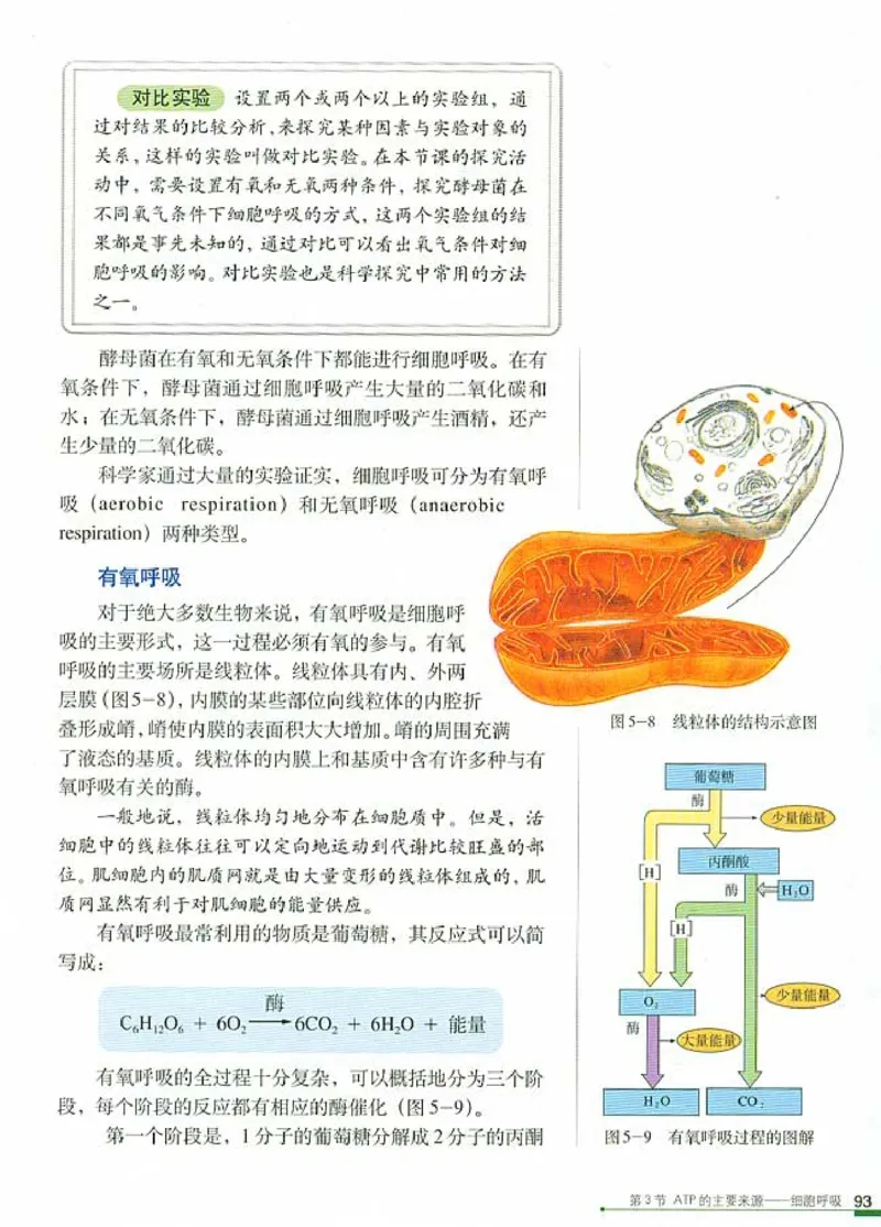 人教版高中生物必修1分子与细胞_电子课本_最新版高中全科高清电子课本_6高中生物课本_人教版