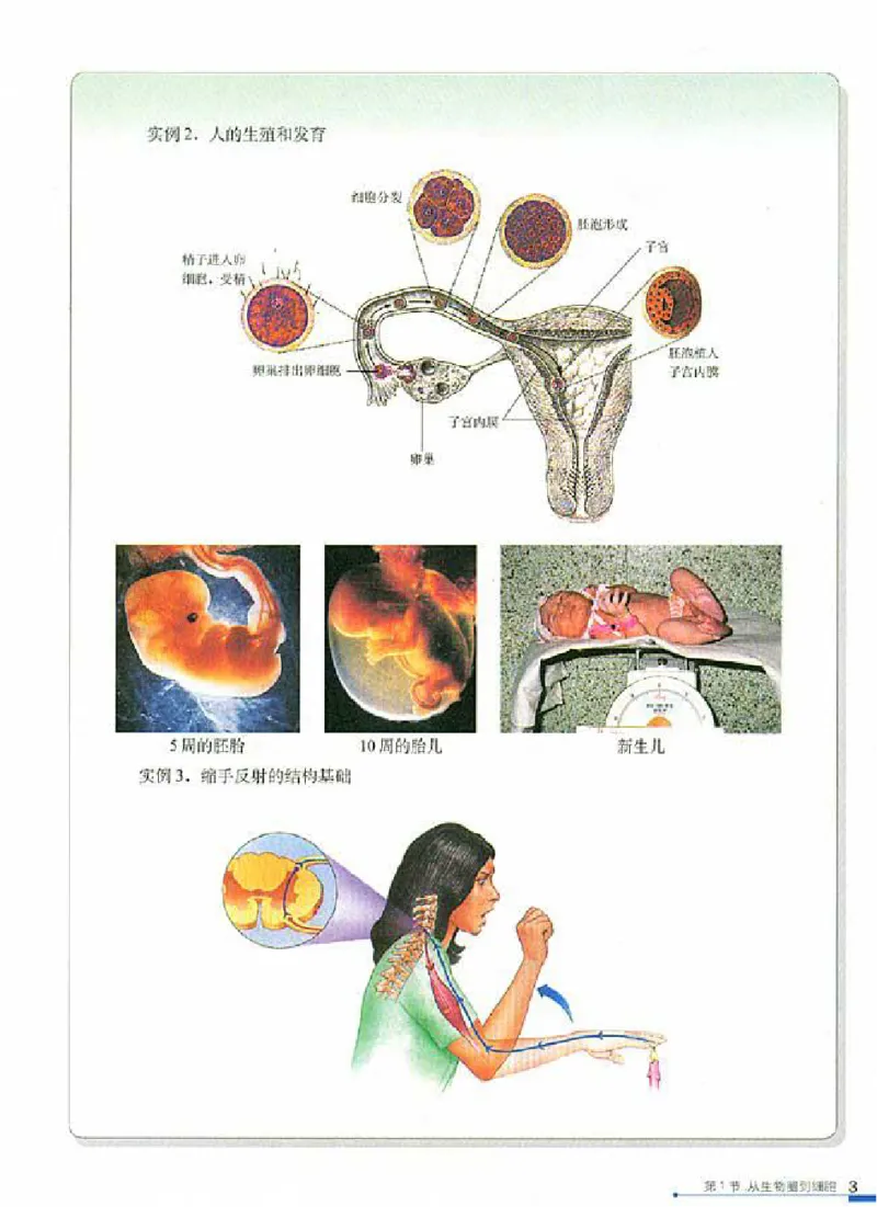 人教版高中生物必修1分子与细胞_电子课本_最新版高中全科高清电子课本_6高中生物课本_人教版