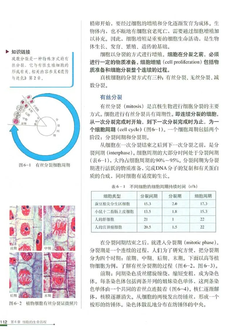 人教版高中生物必修1分子与细胞_电子课本_最新版高中全科高清电子课本_6高中生物课本_人教版