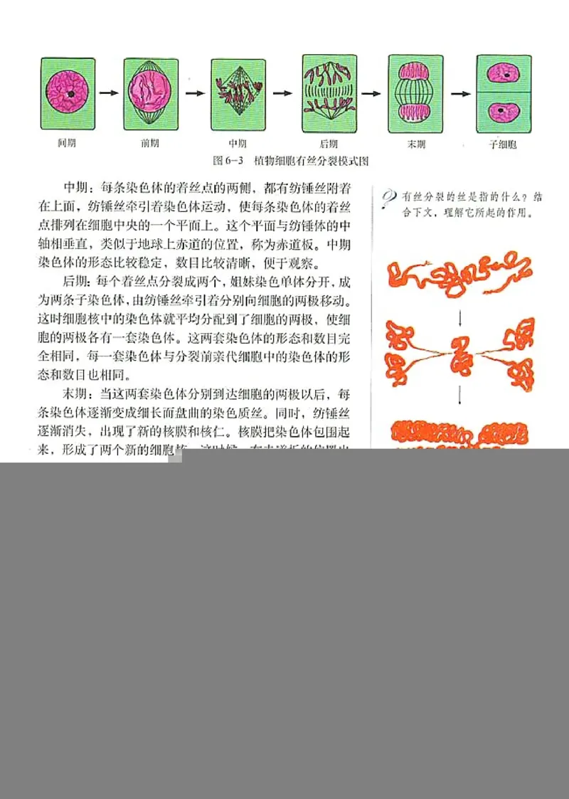 人教版高中生物必修1分子与细胞_电子课本_最新版高中全科高清电子课本_6高中生物课本_人教版