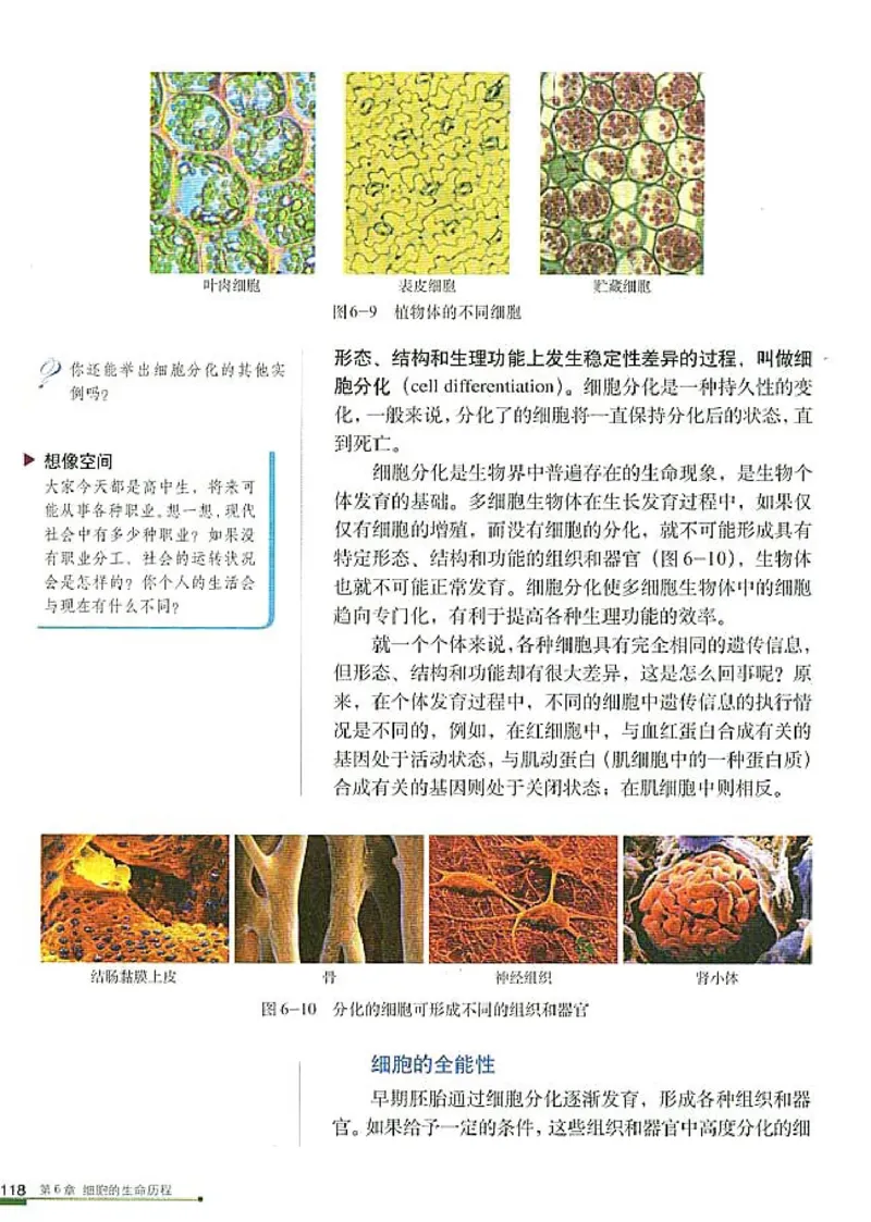 人教版高中生物必修1分子与细胞_电子课本_最新版高中全科高清电子课本_6高中生物课本_人教版