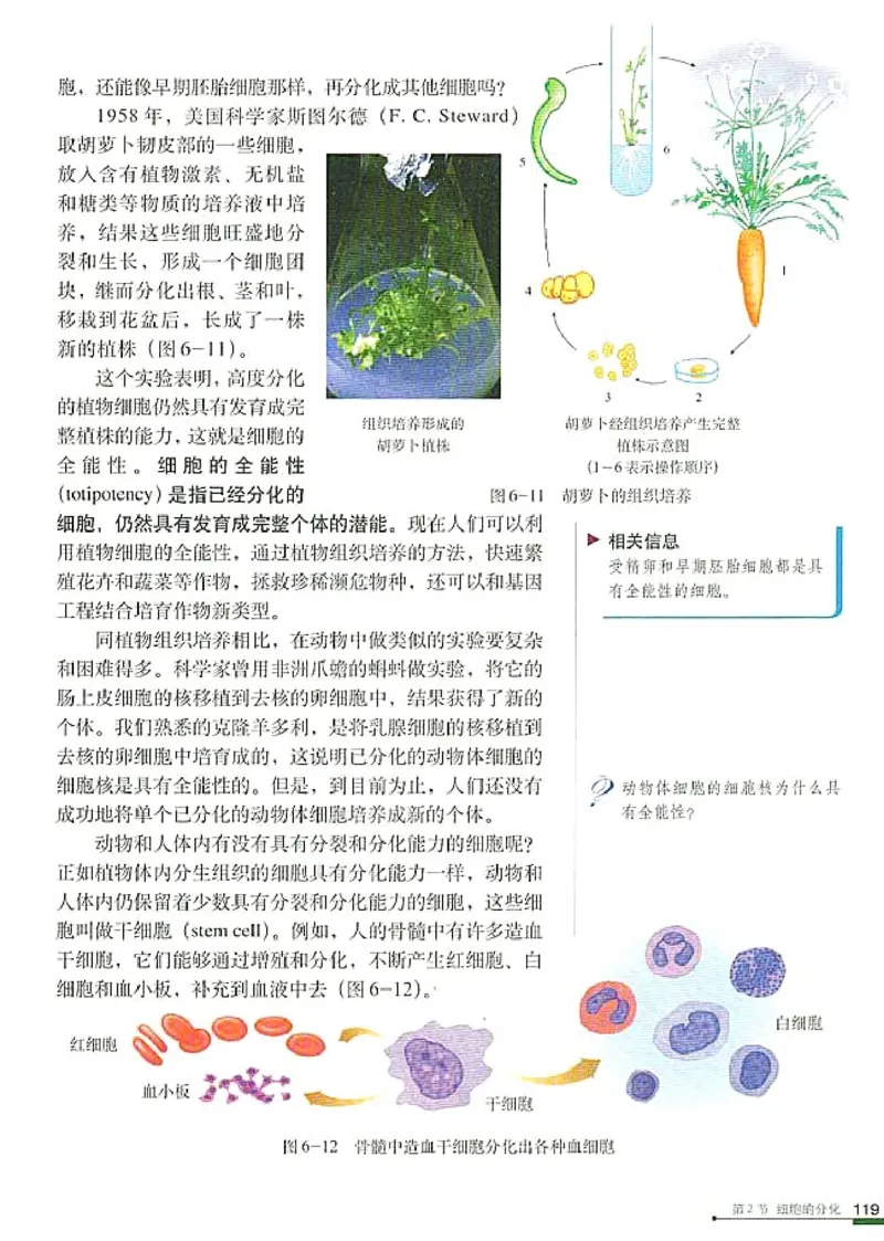 人教版高中生物必修1分子与细胞_电子课本_最新版高中全科高清电子课本_6高中生物课本_人教版