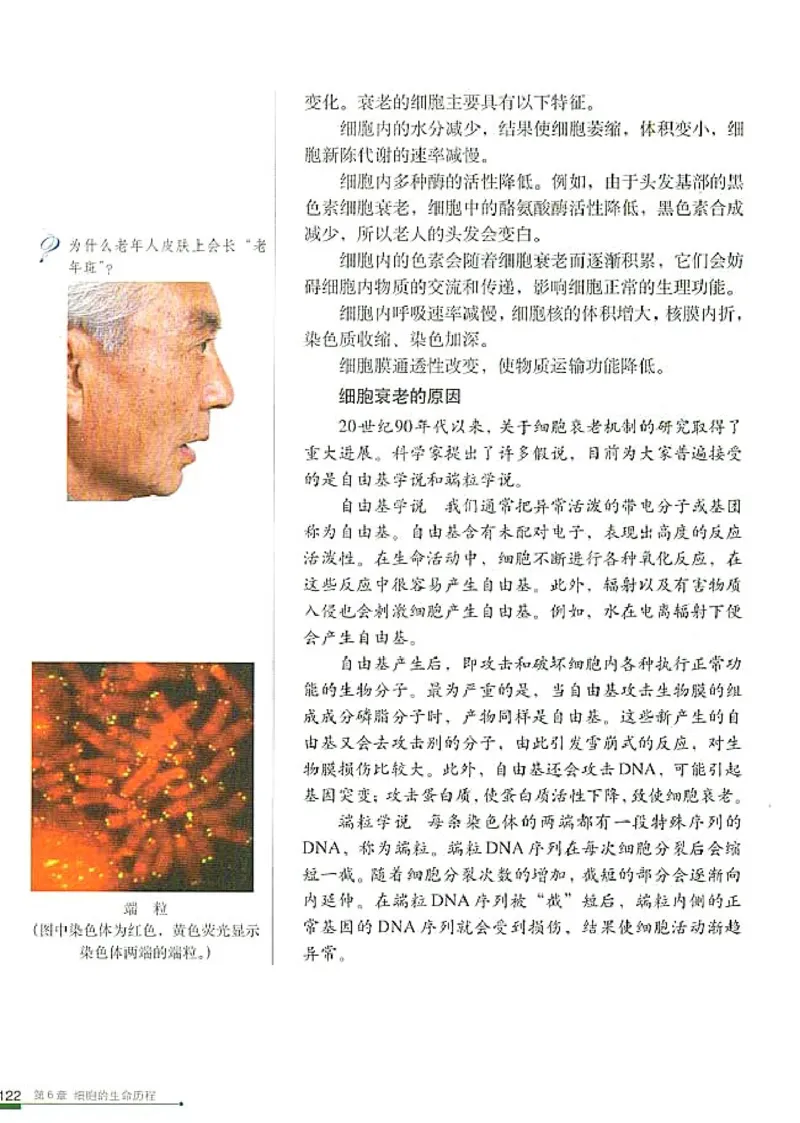 人教版高中生物必修1分子与细胞_电子课本_最新版高中全科高清电子课本_6高中生物课本_人教版