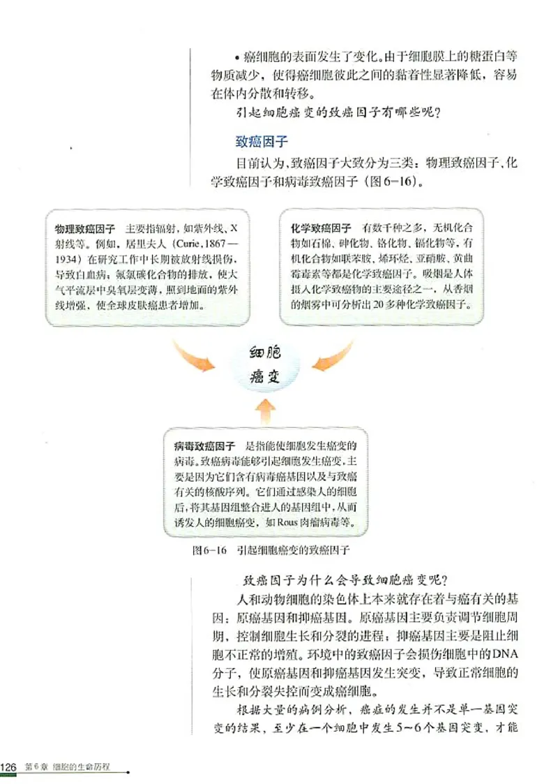 人教版高中生物必修1分子与细胞_电子课本_最新版高中全科高清电子课本_6高中生物课本_人教版