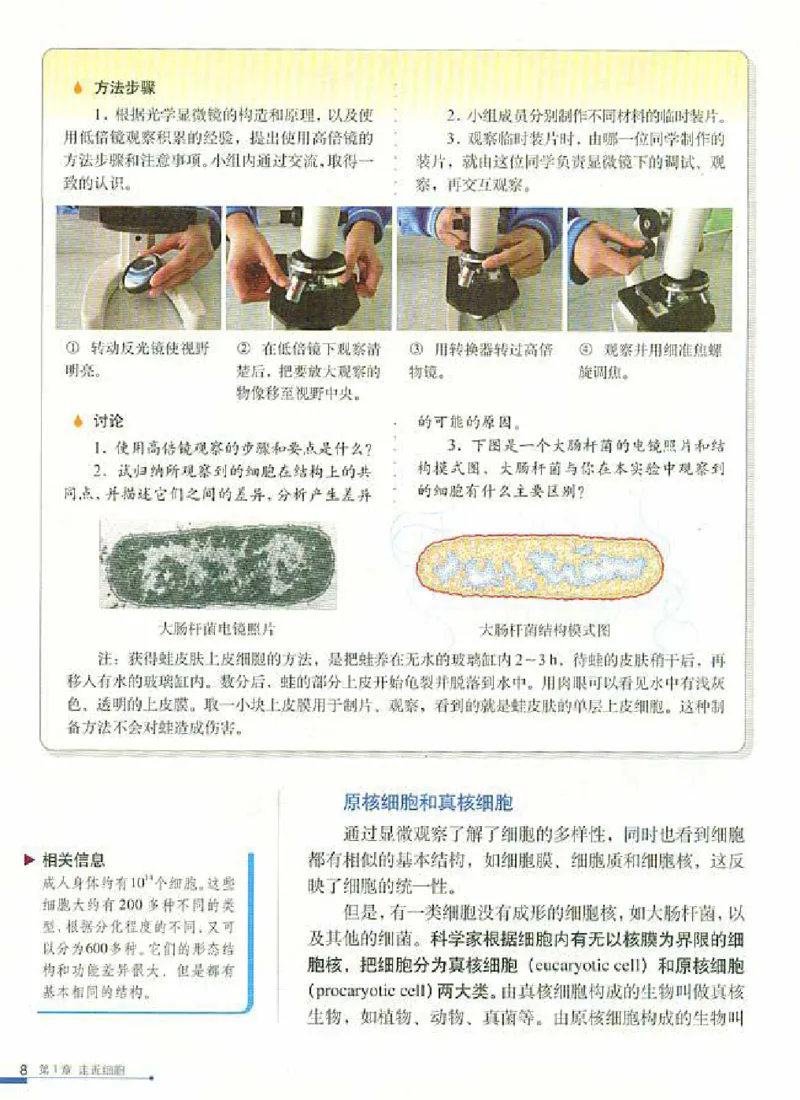 人教版高中生物必修1分子与细胞_电子课本_最新版高中全科高清电子课本_6高中生物课本_人教版