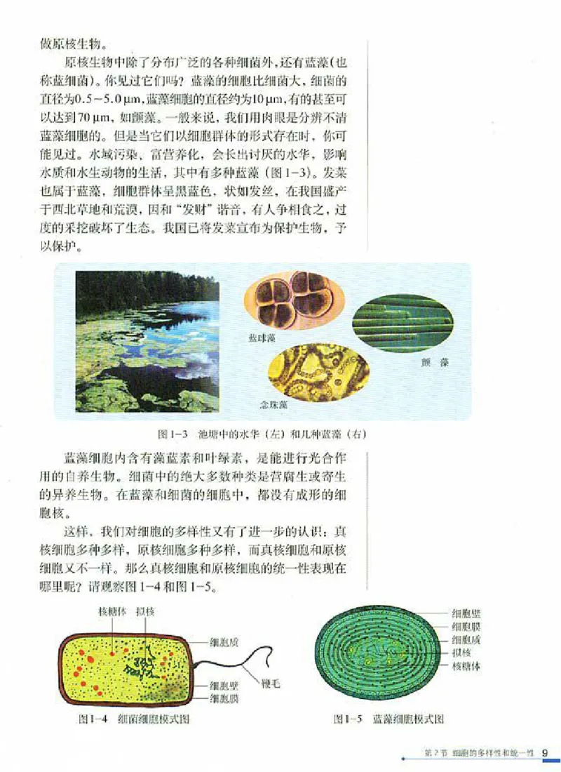 人教版高中生物必修1分子与细胞_电子课本_最新版高中全科高清电子课本_6高中生物课本_人教版