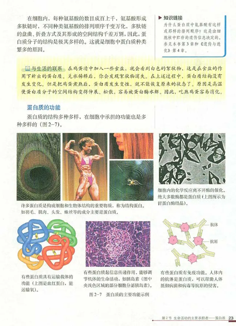 人教版高中生物必修1分子与细胞_电子课本_最新版高中全科高清电子课本_6高中生物课本_人教版