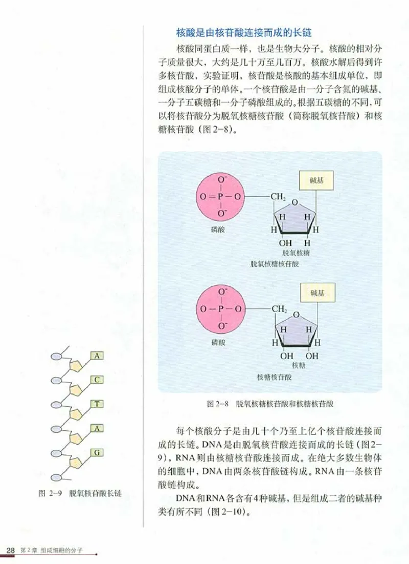 人教版高中生物必修1分子与细胞_电子课本_最新版高中全科高清电子课本_6高中生物课本_人教版