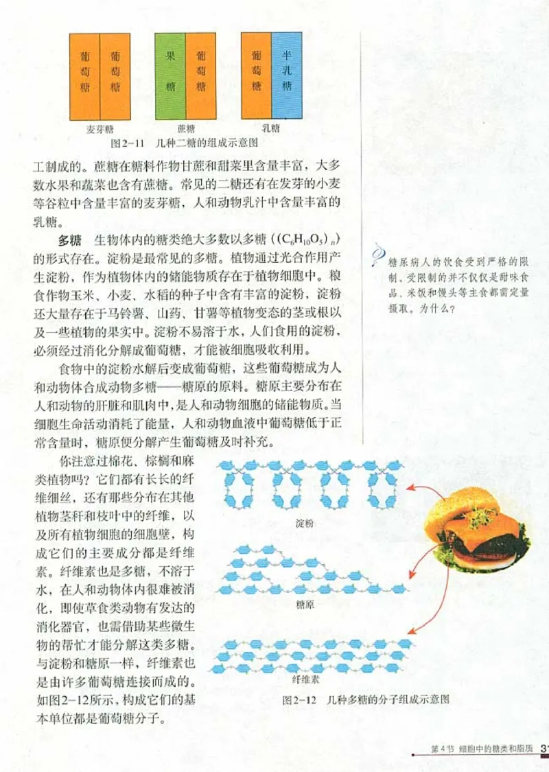 人教版高中生物必修1分子与细胞_电子课本_最新版高中全科高清电子课本_6高中生物课本_人教版