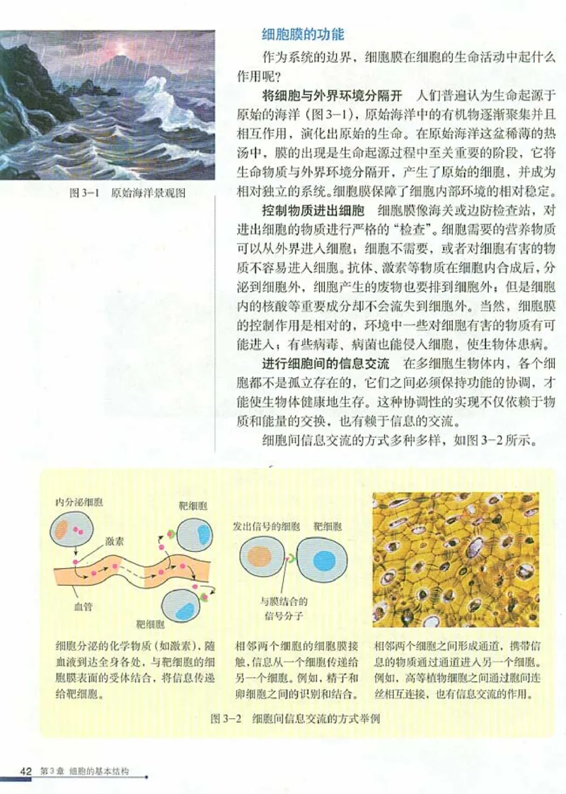 人教版高中生物必修1分子与细胞_电子课本_最新版高中全科高清电子课本_6高中生物课本_人教版